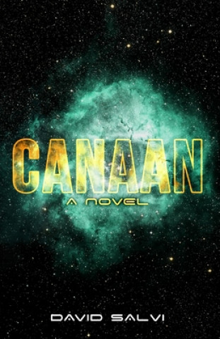 Boek Canaan David Salvi