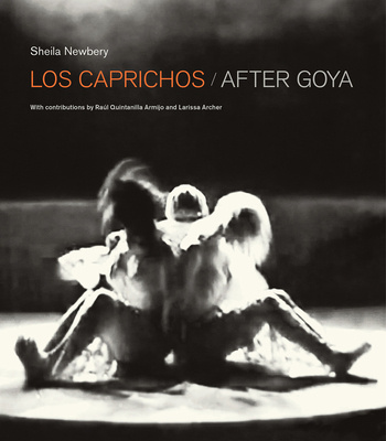 Kniha Los Caprichos: After Goya Sheila Newbery
