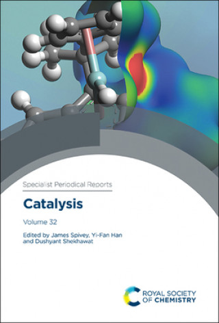 Knjiga Catalysis: Volume 32 James J Spivey
