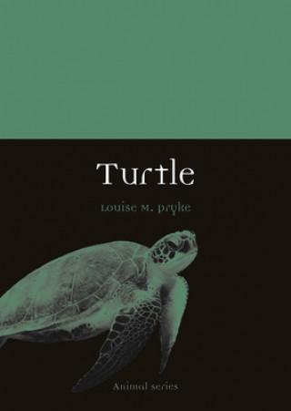Knjiga Turtle Louise M. Pryke