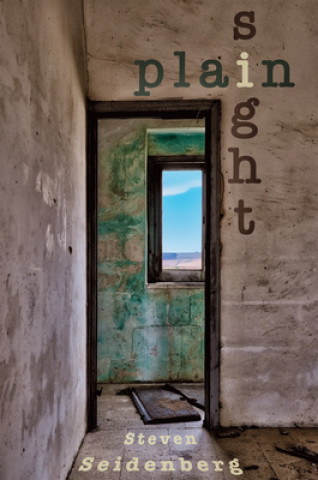 Knjiga Plain Sight Steven Seidenberg
