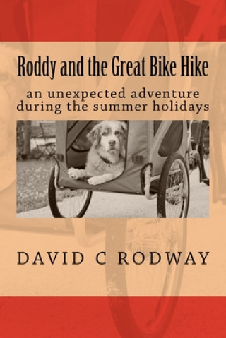 Buch Roddy and the Great Bike Hike: An unexpected adventure during the Summer Holidays David C. Rodway