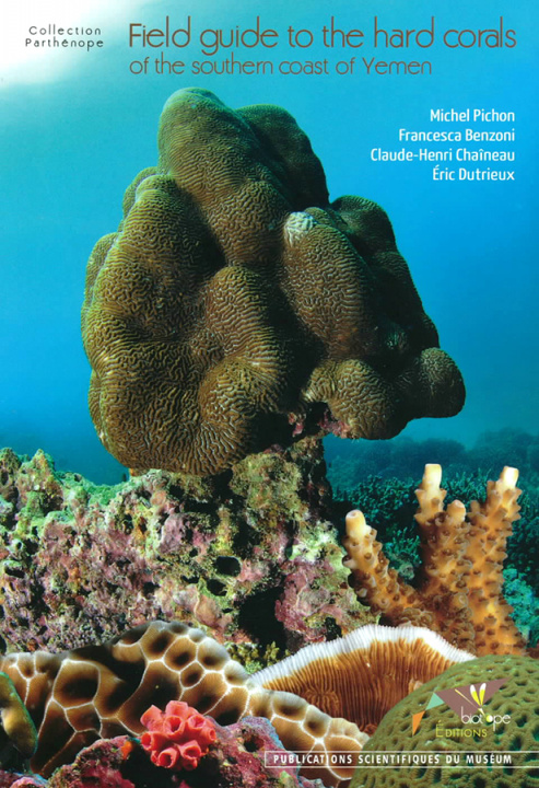 Könyv Field Guide to the Hard Corals of the Southern Coa Michel Pichon