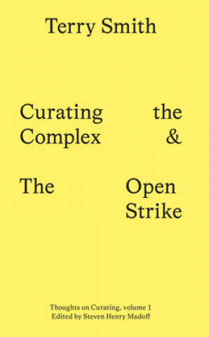 Kniha Curating the Complex and the Open Strike Terry Smith