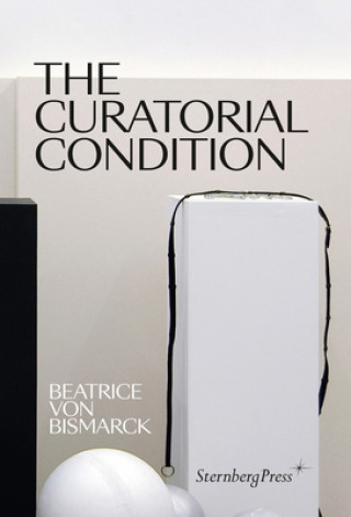 Book Curatorial Condition Beatrice Von Bismarck