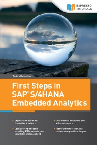 Könyv First Steps in SAP S/4HANA Embedded Analytics Dmitry Kuznetsov