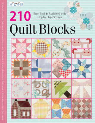 Carte 210 Traditional Quilt Blocks Tuva Publishing