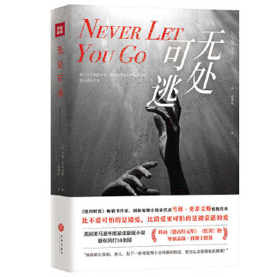 Buch Never Let You Go Chevy Stevens