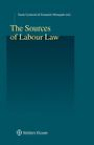 Könyv Sources of Labour Law Gyulavari Tamas