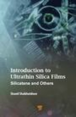 Книга Introduction to Ultrathin Silica Films Shamil Shaikhutdinov