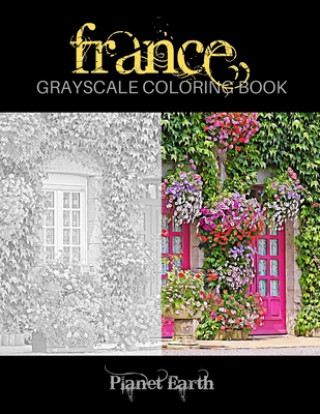 Kniha France Grayscale Coloring Book Planet Earth
