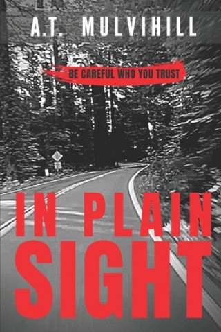 Buch In Plain Sight A. T. Mulvihill