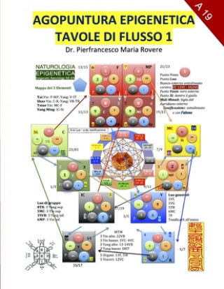 Könyv Agopuntura Epigenetica 1: Tavole di Flusso Pierfrancesco Maria Rovere