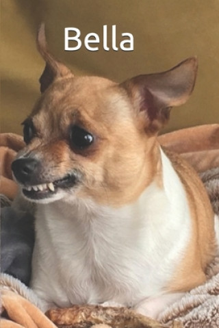 Knjiga Bella Jacob Widmann