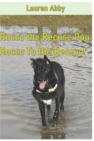 Könyv Rocco The Rescue Dog: Rocco To the Rescue! Lauren Abby