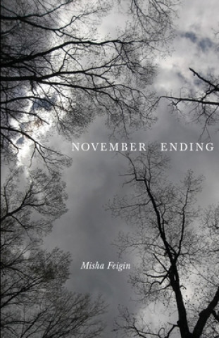 Knjiga November Ending Misha Feigin