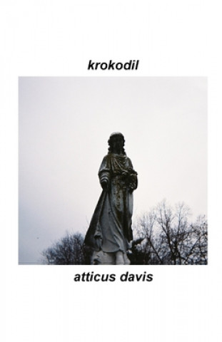 Knjiga Krokodil Atticus Davis