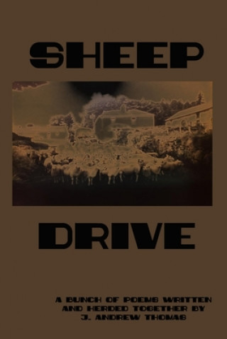 Libro Sheep Drive J. Andrew Thomas