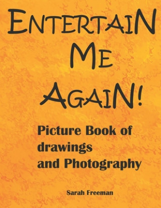 Buch Entertain Me Again Sarah Freeman