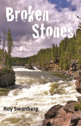 Libro Broken Stones Roy Swanberg