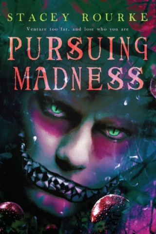 Book Pursuing Madness Stacey Rourke