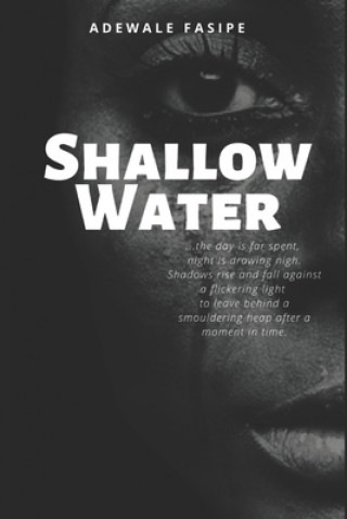Knjiga Shallow Water Adewale Fasipe