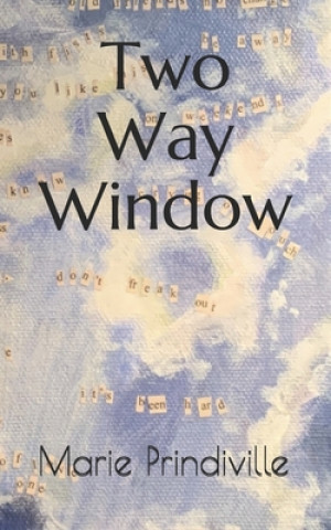 Knjiga Two Way Window Marie Prindiville