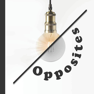 Knjiga Opposites Brenden King
