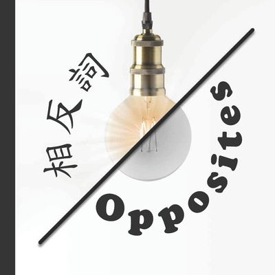 Knjiga Opposites Brenden King