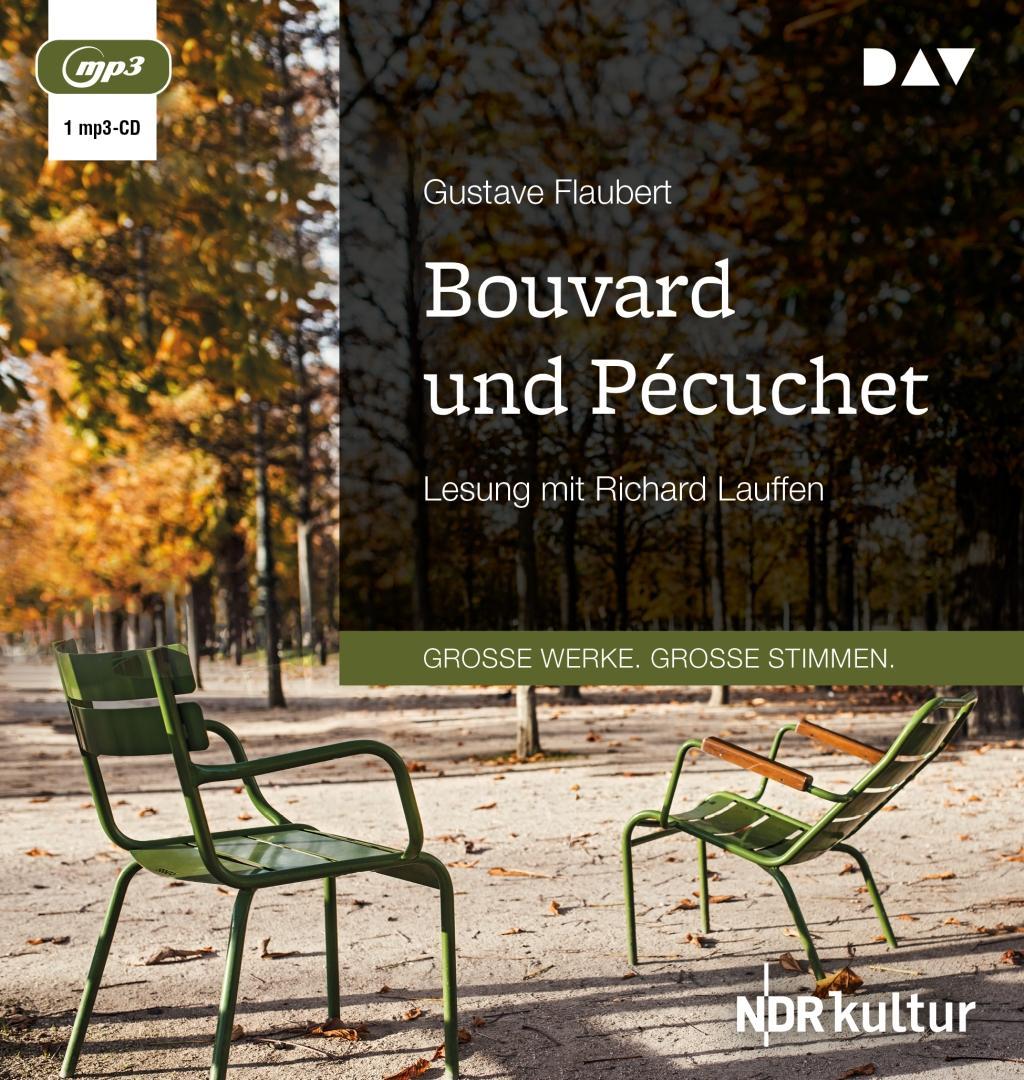 Numérique Bouvard und Pécuchet Richard Lauffen