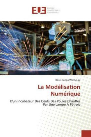 Knjiga Modelisation Numerique Dénis Ilunga Wa Ilunga