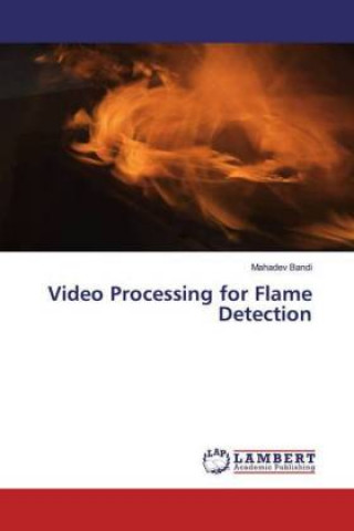 Knjiga Video Processing for Flame Detection Mahadev Bandi
