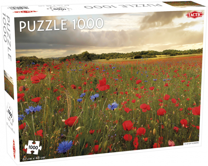 Könyv Puzzle Field of Flowers 1000 