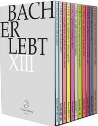 Video Bach Erlebt XIII 