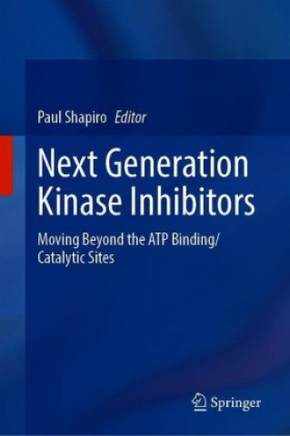 Kniha Next Generation Kinase Inhibitors Paul Shapiro