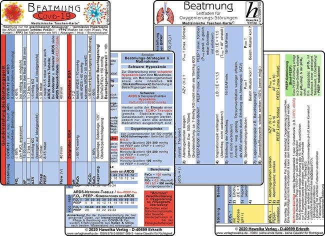 Knjiga COVID-19 Beatmungs-Karten Set 2020 (2 Karten Set) - Respirator-Einstellungen: COVID19 mit ARDS oder mit respiratorischer Insuffizienz - SARS-CoV-2 