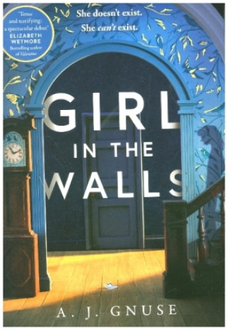 Könyv Girl in the Walls Adam Gnuse