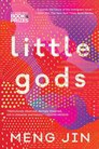 Kniha Little Gods 