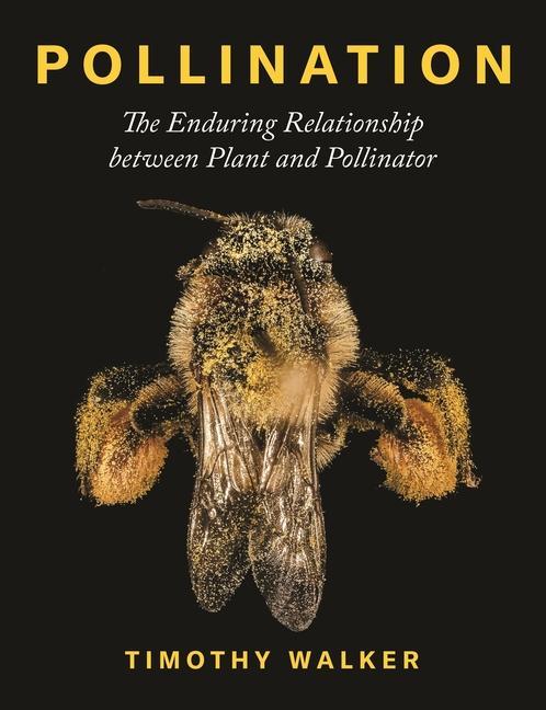 Kniha Pollination Timothy Walker