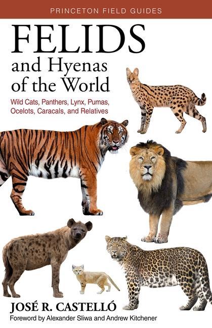 Kniha Felids and Hyenas of the World José R. Castelló