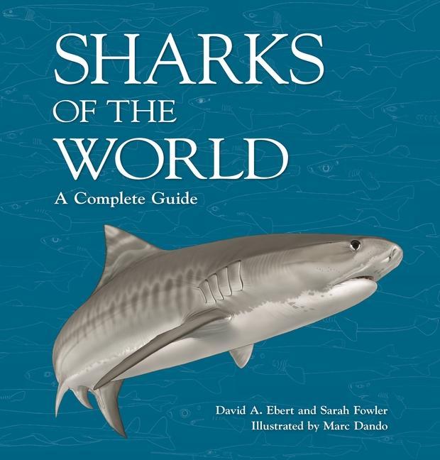 Kniha Sharks of the World Sarah Fowler