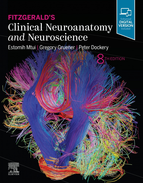 Книга Fitzgerald's Clinical Neuroanatomy and Neuroscience Mtui