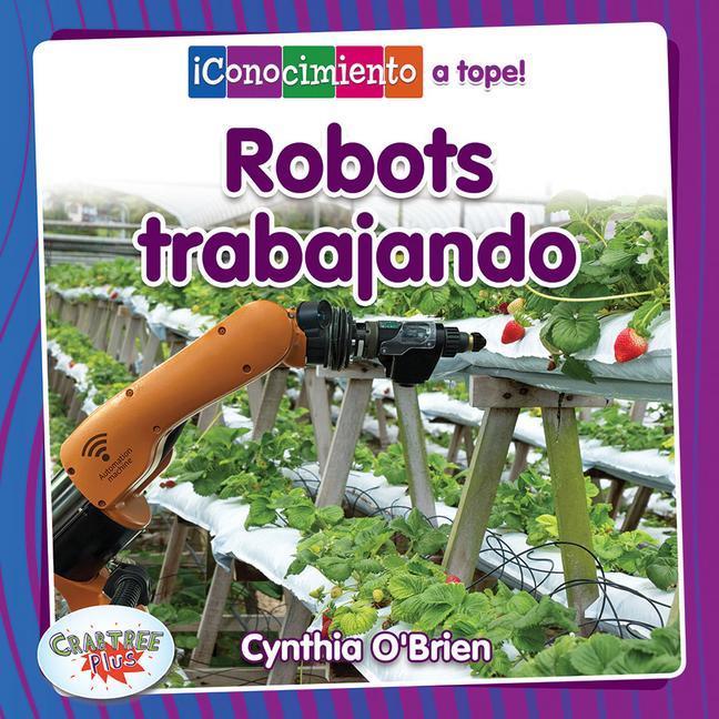 Książka Robots Trabajando (Robots at Work) Pablo De La Vega