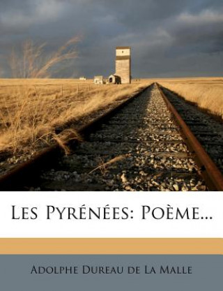 Kniha Les Pyrenees: Poeme... Adolphe Dureau De La Malle