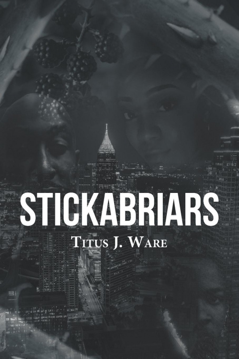 Knjiga Stickabriars Titus J. Ware