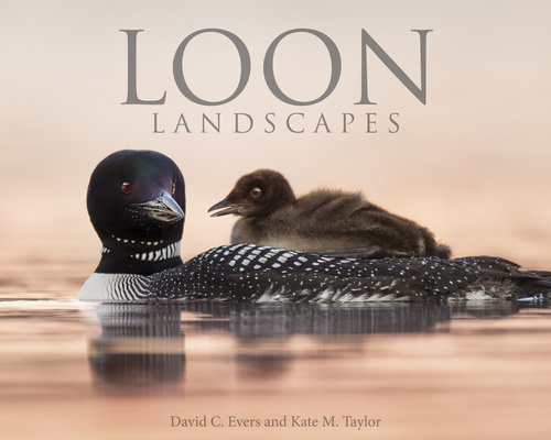 Book Loon Landscapes David C. Evers