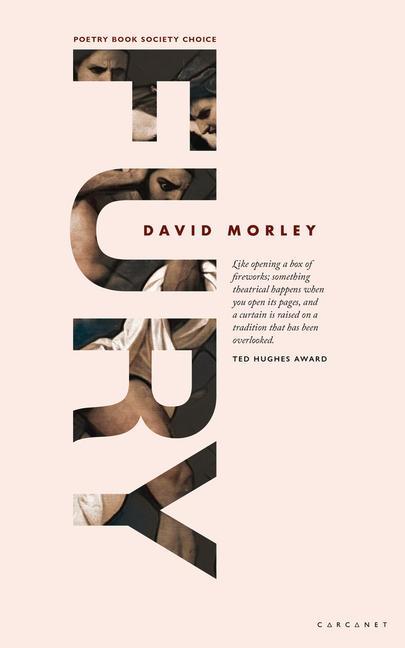 Knjiga FURY David Morley