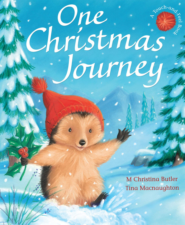 Książka One Christmas Journey M Christina Butler