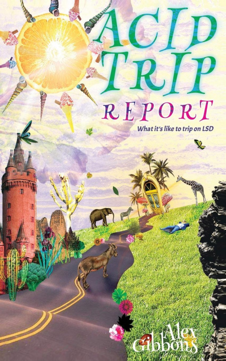Kniha Acid Trip Report - What it's like to trip on LSD 