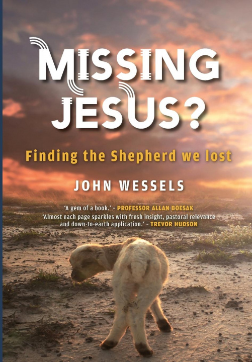 Knjiga Missing Jesus? John Dalling Wessels